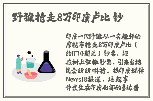 逃脱~孕妇精灵与森之馆游戏预告片